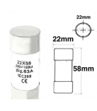 60A CUT OUT FUSE (22MM X 58MM)