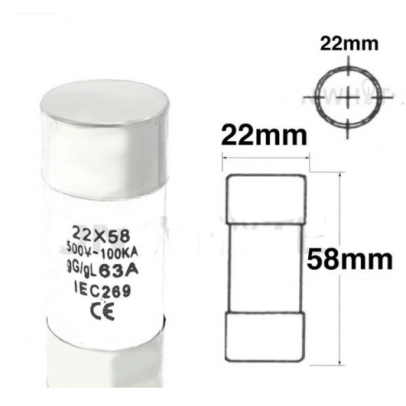 CH 100A CUT OUT FUSE (30X58MM)