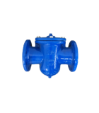 6" DI T POT STRAINER [AVA]