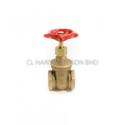 4" BRASS PN16 GATE VALVE [CITY]