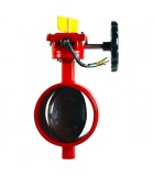 4" DUCTILE IRON GROOVED END BUTTERFLY VALVE C/W TAMPER SWITCH (SIRIM) [CNG]