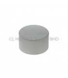 2" UPVC END CAP (MS1063) [BBB]