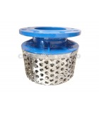 6'' DI ROSE STRAINERS C/W STAINLESS STEEL BASKET