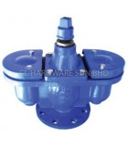 2" DI PN16 DOUBLE AIR VALVE [AVA]