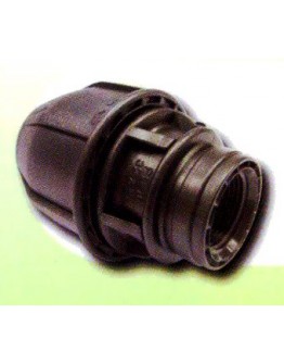 20MM x 1/2" HDPE FEMALE THREADED ADAPTOR [FISH]